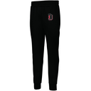 Men's PERFORMANCE FLEECE JOGGER